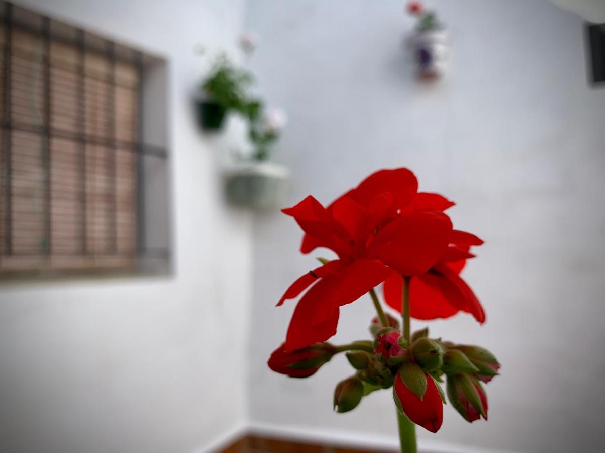 Casa Rural Sierra Tortola 1 Hinojales Kültér fotó
